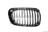 TRUCKTEC AUTOMOTIVE 08.62.254 Radiator Grille